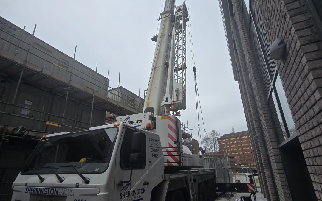 Efficient Crane Services for Every Need